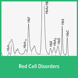 eLearn LAB - Red Cell Disorders